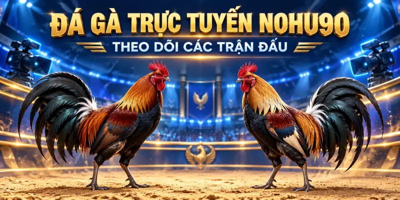 Đá Gà Trực Tuyến Diễn Ra Liên Tục
